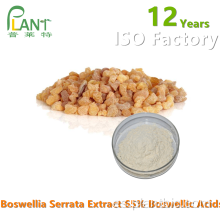 Polvo de extracto de Boswellia Serrata 65% 90% Ácido boswélico